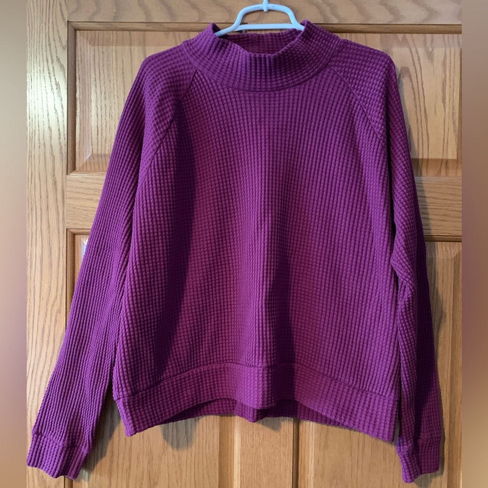 Purple The North Face Chabot Mock Neck Pullover Sweater
